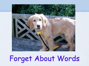 ForgetAboutWords
